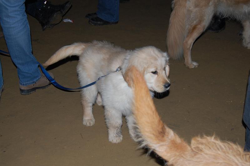 2007 12 17 262.JPG